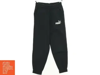 Puma sweatpants (str. 140 cm)