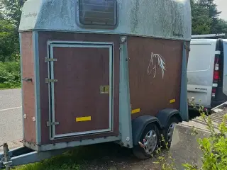 Hestetrailer 1 hest