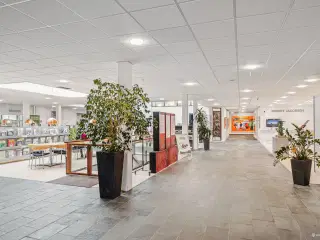 Kontorfællesskab i Egtved 
