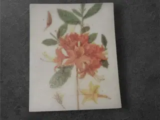 Papirark med levende blomster i orange og gul