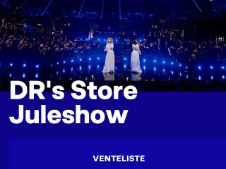 2 billetter til DRs juleshow 6/12 kl 15:45