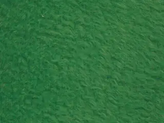 Blød Grøn Fleece 125x150 cm - 200 g Polyester