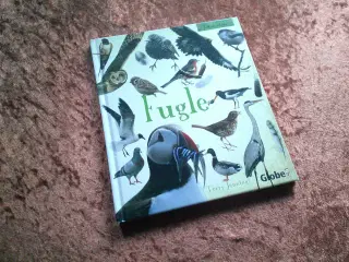 Fugle, Terry Jennings