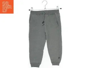 Grå Sweatpants til børn fra Pomp de Lux (str. 98)