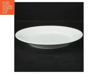 Royal Copenhagen tallerken hvid vifte (str. Ø 22 cm)