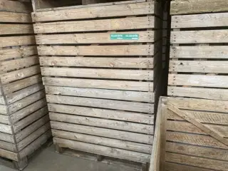 10 stk. Kartoffelkasser