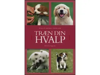 Træn din Hvalp