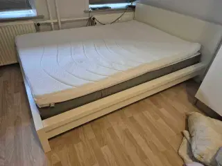 IKEA malm seng + madras