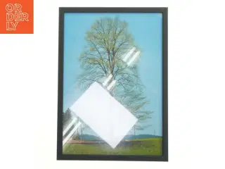 Billedramme med plakat (str. 29,8x42 cm)