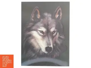 Billede af ulv (str. 40x30 cm)