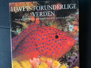 Bogen Havets forunderlige verden 