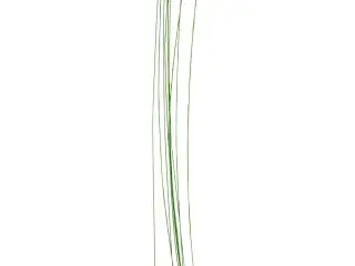 Blomsterstængel, L: 30 cm, diam. 0,6 mm, grøn, 20stk./ 1 pk.