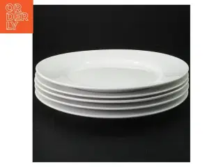 Hvid porcelænstallerken, 5 stk, flade (str. 23 x 3 cm)
