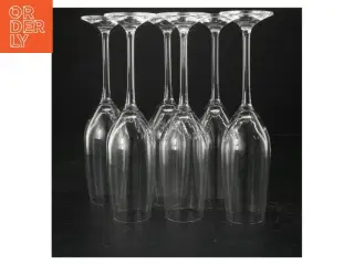 Champagneglas fra De (str. Ø 5 cm. længde, 24 cm)