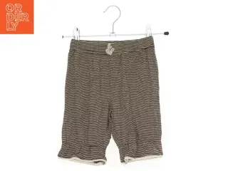 Shorts (str. 68 cm)