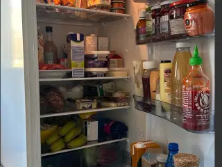 Gram - Køleskab/fryser 