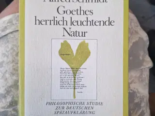 Alfred Schmidt Goethes herlich ....