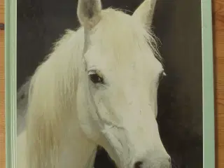 Horses af Jane Burton