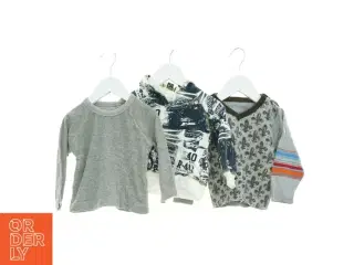 Sweatshirt (3 stk.) (str. 74 cm)