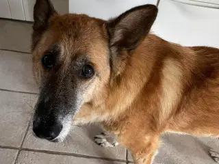 Sara søger sit otium! 🩷