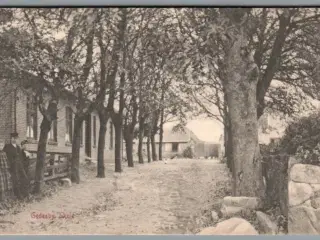 Gedser Skole - Julemærke 1905 på bagside - Postkort - Brugt