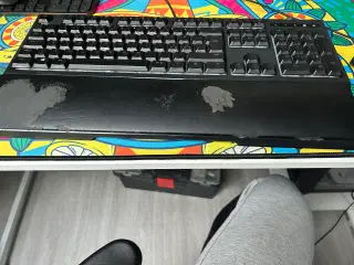 Razer Ornata Chroma Tastatur