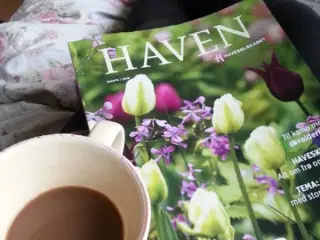 Haven magasiner