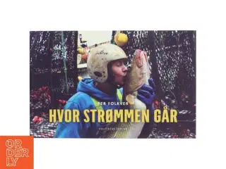 Hvor strømmen går (Bog)