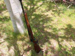 Sauer 202 lux