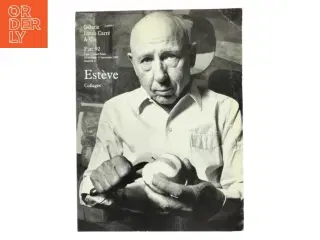 Est&#232;ve Collages (Bog)