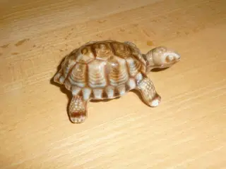 porcelæns skildpadde fra England
