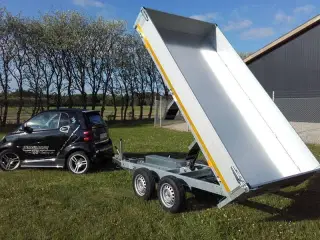 EDUARD  trailer 3116-2000.72 EL Tip