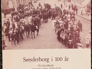 Sønderborg i 100 år