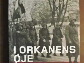 i orkanens øje - det danske finlandskorps 1939-40,