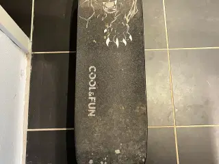 Elektrisk skateboard