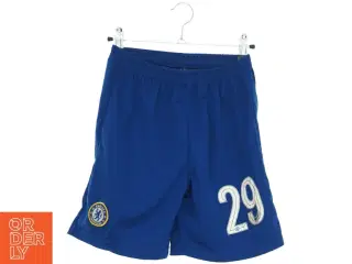 Shorts, Chelsea Football Club (str. 134 cm)