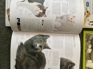 Hunde- og katte bøger