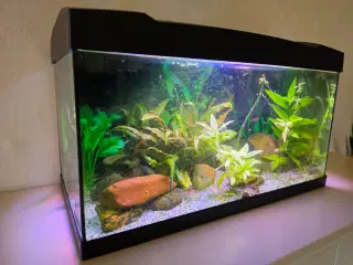 STARTERSÆT 57 LTR. M/ 6 WATT LED 60X30X36,50 Cm 