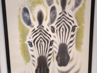 Zoo 2 zebraer plakat i sort ramme