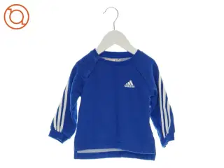 Sæt med bluse og bukser fra Adidas (str. 9-12 mdr.)