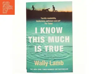 I know this much is true af Wally Lamb (Bog)