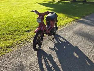 Honda wallaroo 