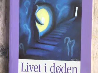 Livet i døden, Steen Kofoed