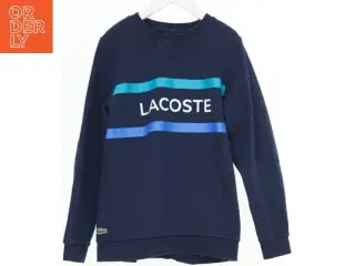 Sweatshirt fra Lacoste fra Lacoste (str. 152)