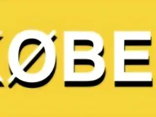 SØGES- Stor Hvid Sølvkanin 