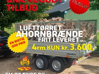 4 RM. Ahorn Brænde frit leveret