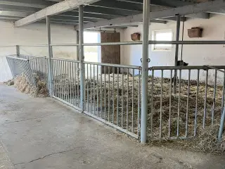 Løsdrift og boks opstaldning tilbydes