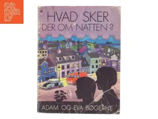 Hvad sker der om natten? (Bog)