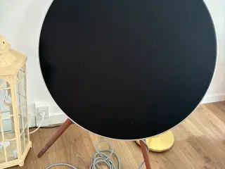 Bang & Olufsen Beoplay A9 mk1