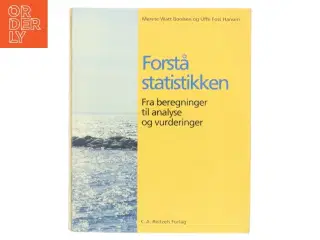 Forstå statistikken : fra beregninger til analyse og vurderinger (Bog)